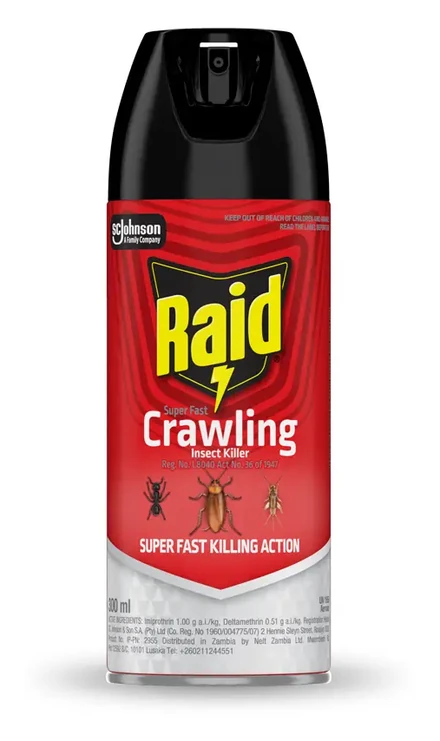 Raid Crawling Insect Killer 300ml